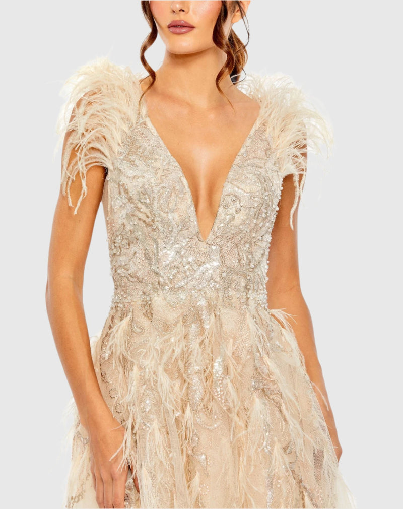 Embellished Feathered Sleeveless A Line Gown - Nude