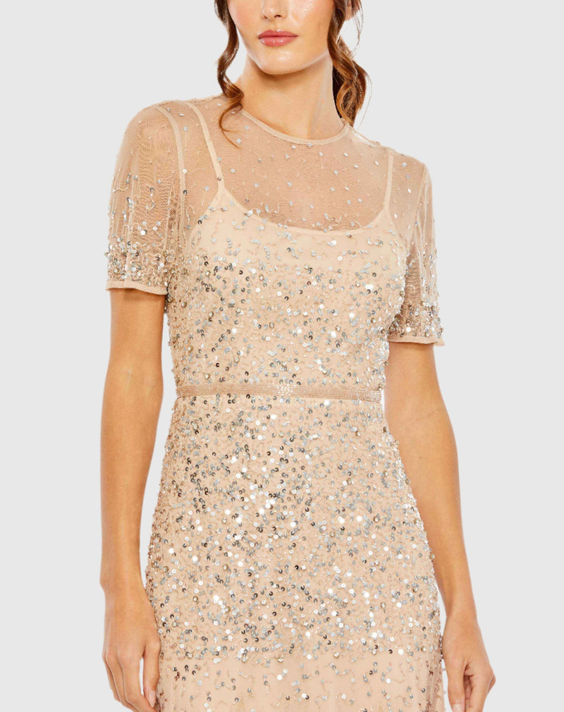 High Neck Short Sleeve Sequin Embellished Gown - Nude Silver