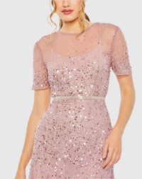 High Neck Short Sleeve Sequin Embellished Gown - Nude Silver