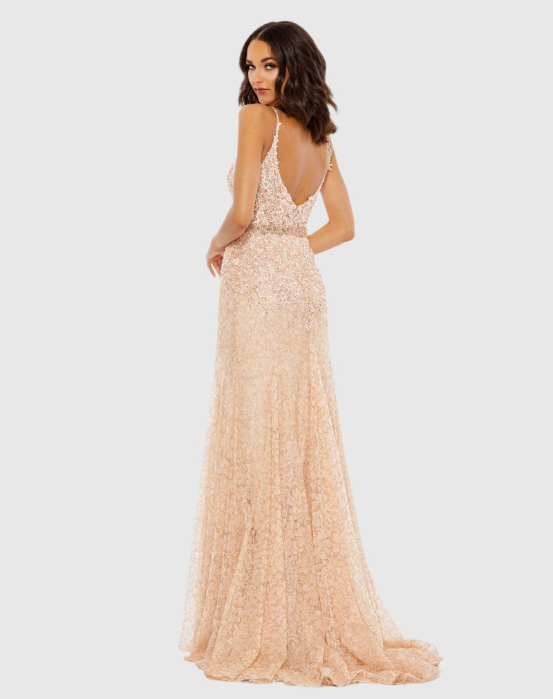 Applique Sleeveless Plunge Neck Trumpet Gown - Blush